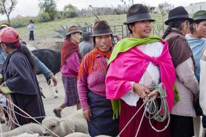 header Ecuador saquisili